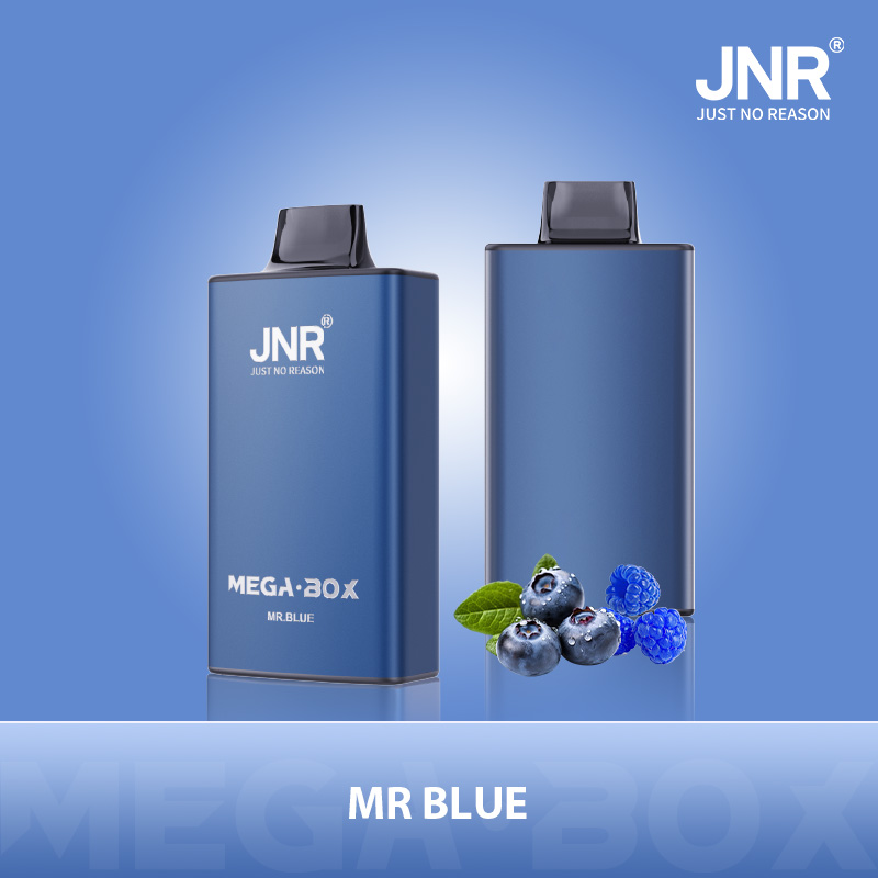 JNR-MEGA-BOX-25000 puffs-vape-e-cigarette