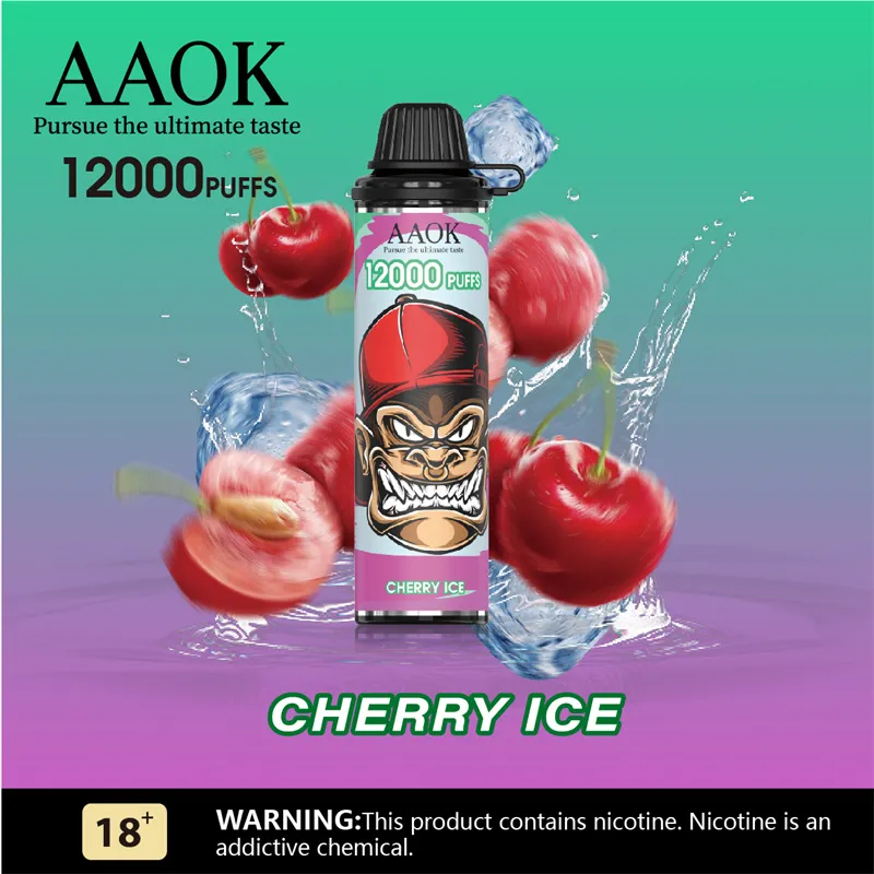 Aaok-Pen-Style-12000puffs--Vape